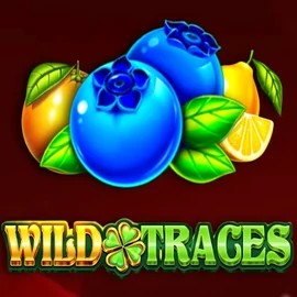 Wild Traces slot visual from Amusnet Interactive available on sky-hillscasino.eu